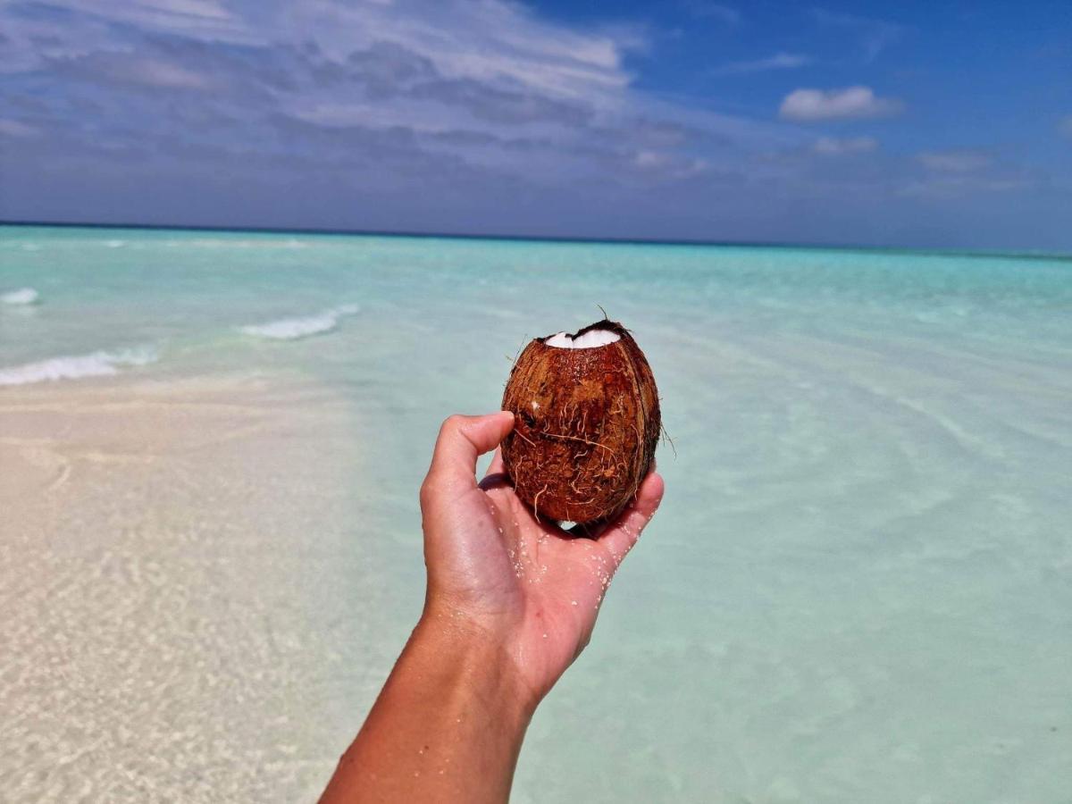 Finolhu Beach Guest House Felidhoo Dış mekan fotoğraf
