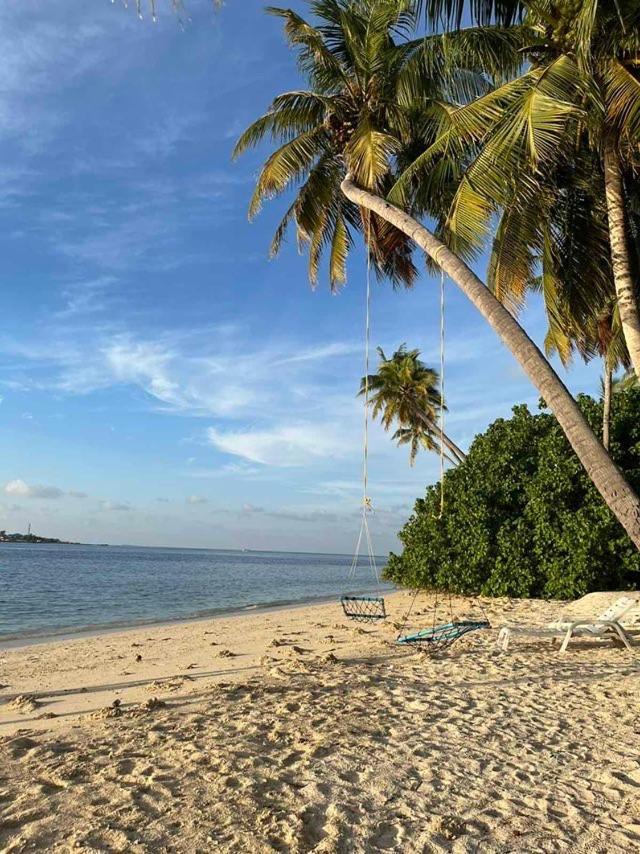 Finolhu Beach Guest House Felidhoo Dış mekan fotoğraf